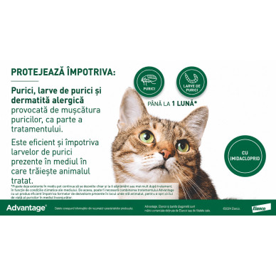 Advantage 40 – Deparazitare externa pentru Pisici și Iepuri sub 4 kg, 4 Pipete, Elanco